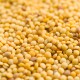 3 Apulian Lentil